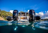 Easy access to and from the water with stainless steel boarding ladder